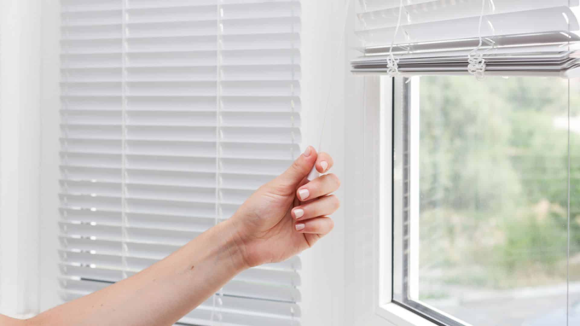 Choose The Right Window Shades