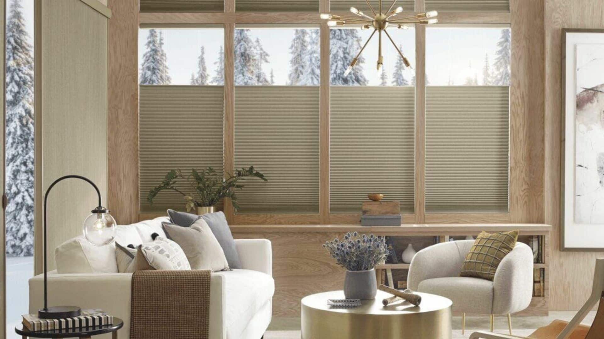 Top Differences Between Glass Blinds and Shades